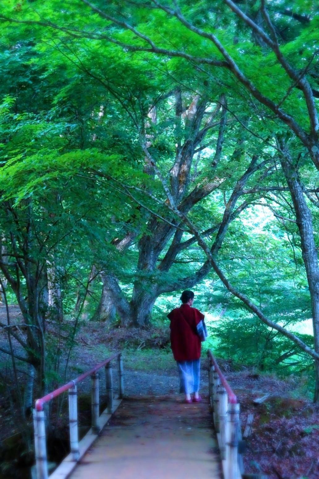 ホテル 山王山温泉　瑞泉卿 一関市 エクステリア 写真