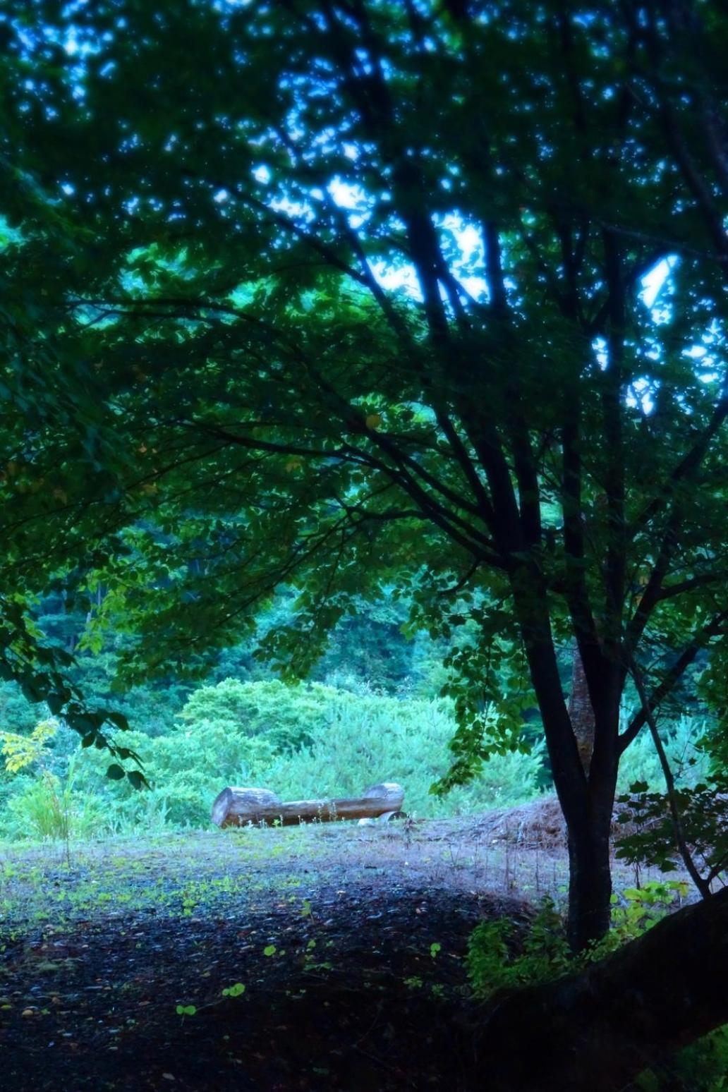 ホテル 山王山温泉　瑞泉卿 一関市 エクステリア 写真